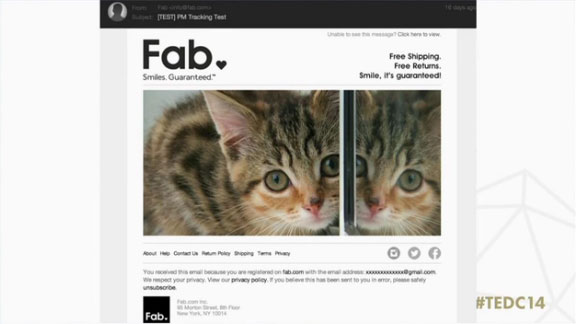 Un e-mail de Fab avec un chat.